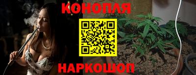 бошки Будённовск