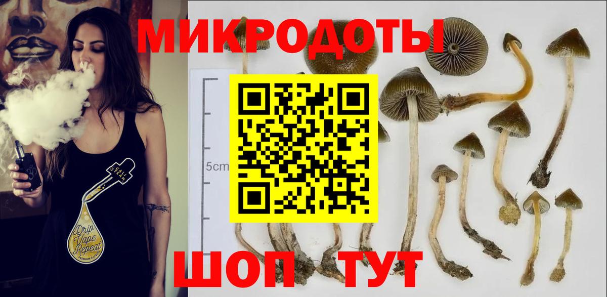 Петровск  Галлюциногенные грибы мухоморы  где можно купить наркотик  Вход с VPN  Галлюциногенные грибы GOLDEN TEACHER 